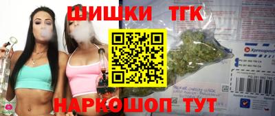 МДПВ Моздок